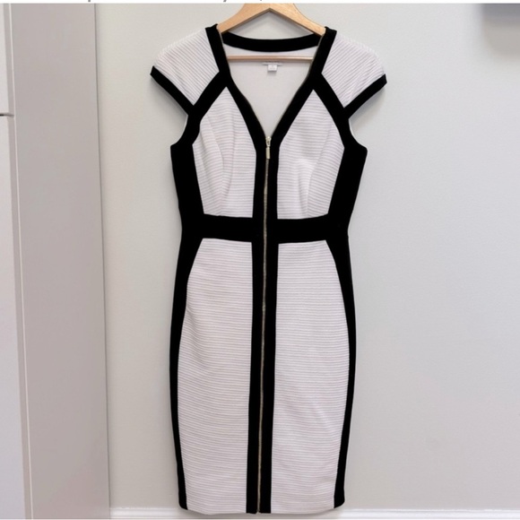 White House Black Market Black and White Sleeveless V-Neck Mini Dress - Picture 4 of 10